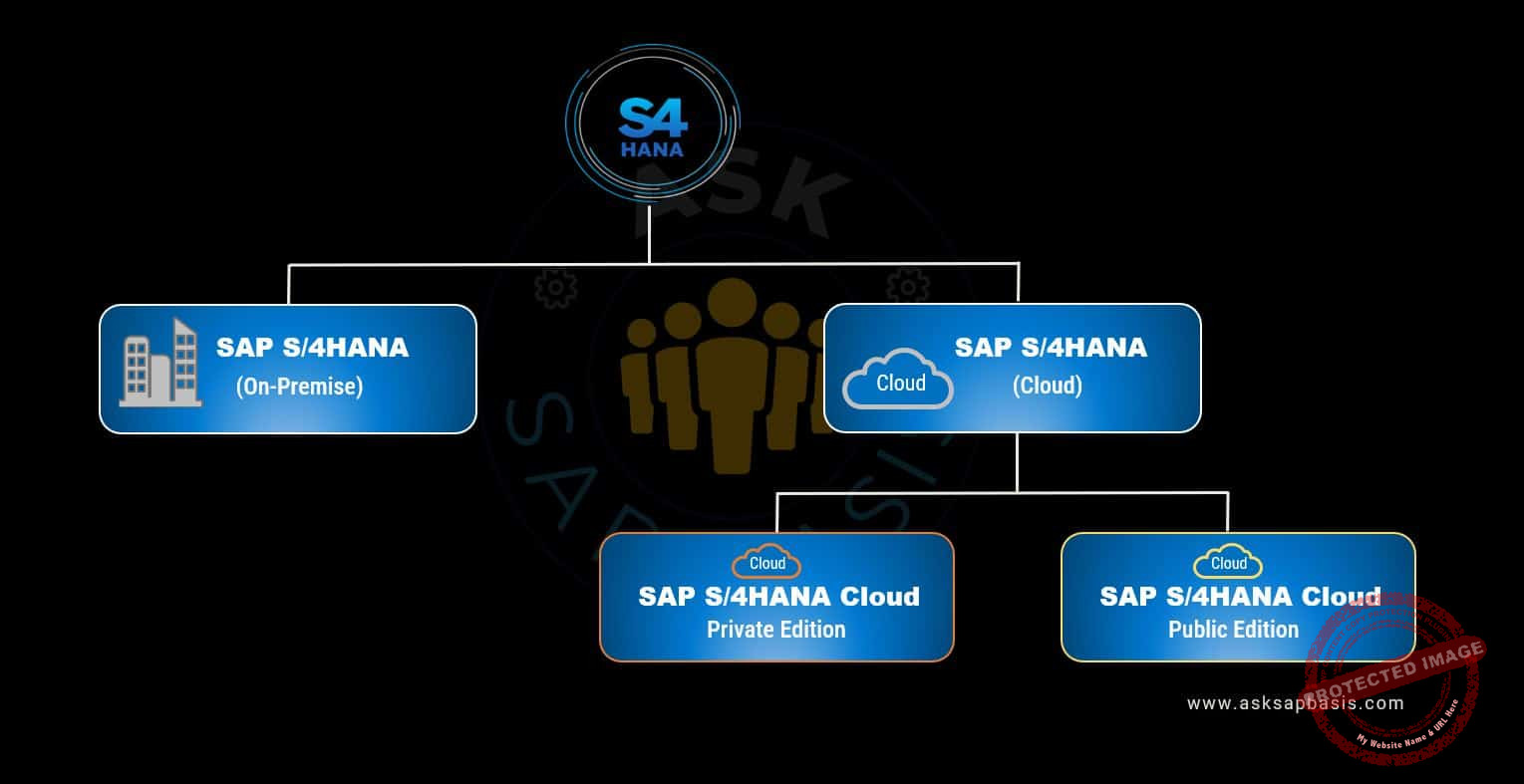 S4HANA Family