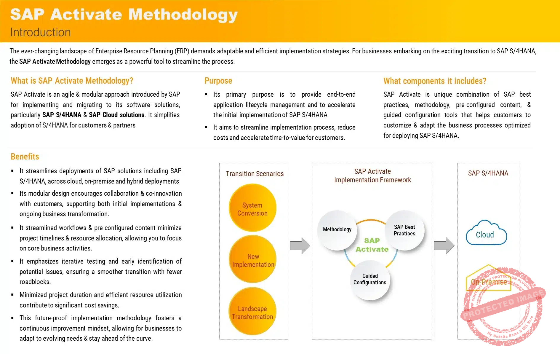 SAP Activate 1