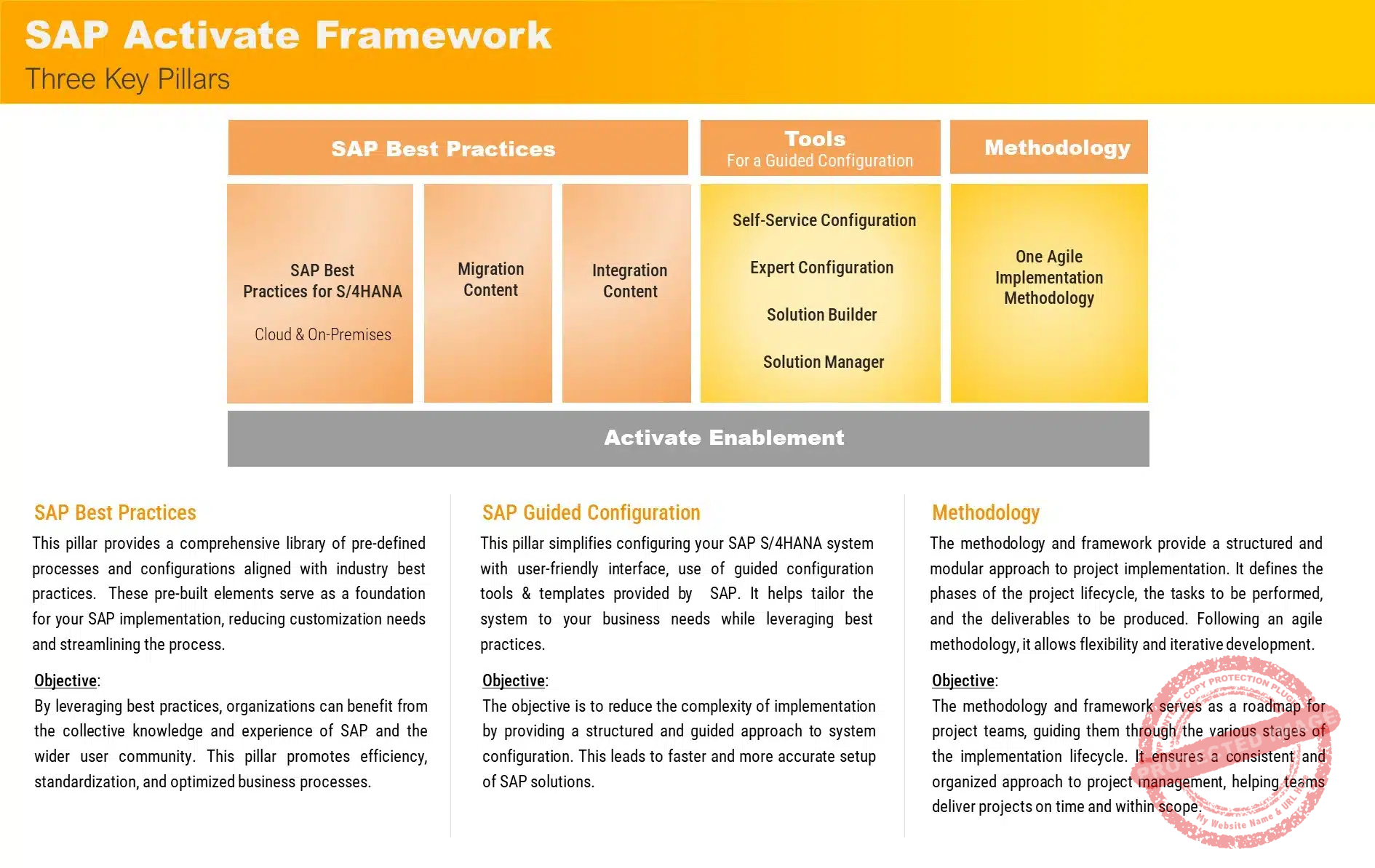 SAP Activate 2